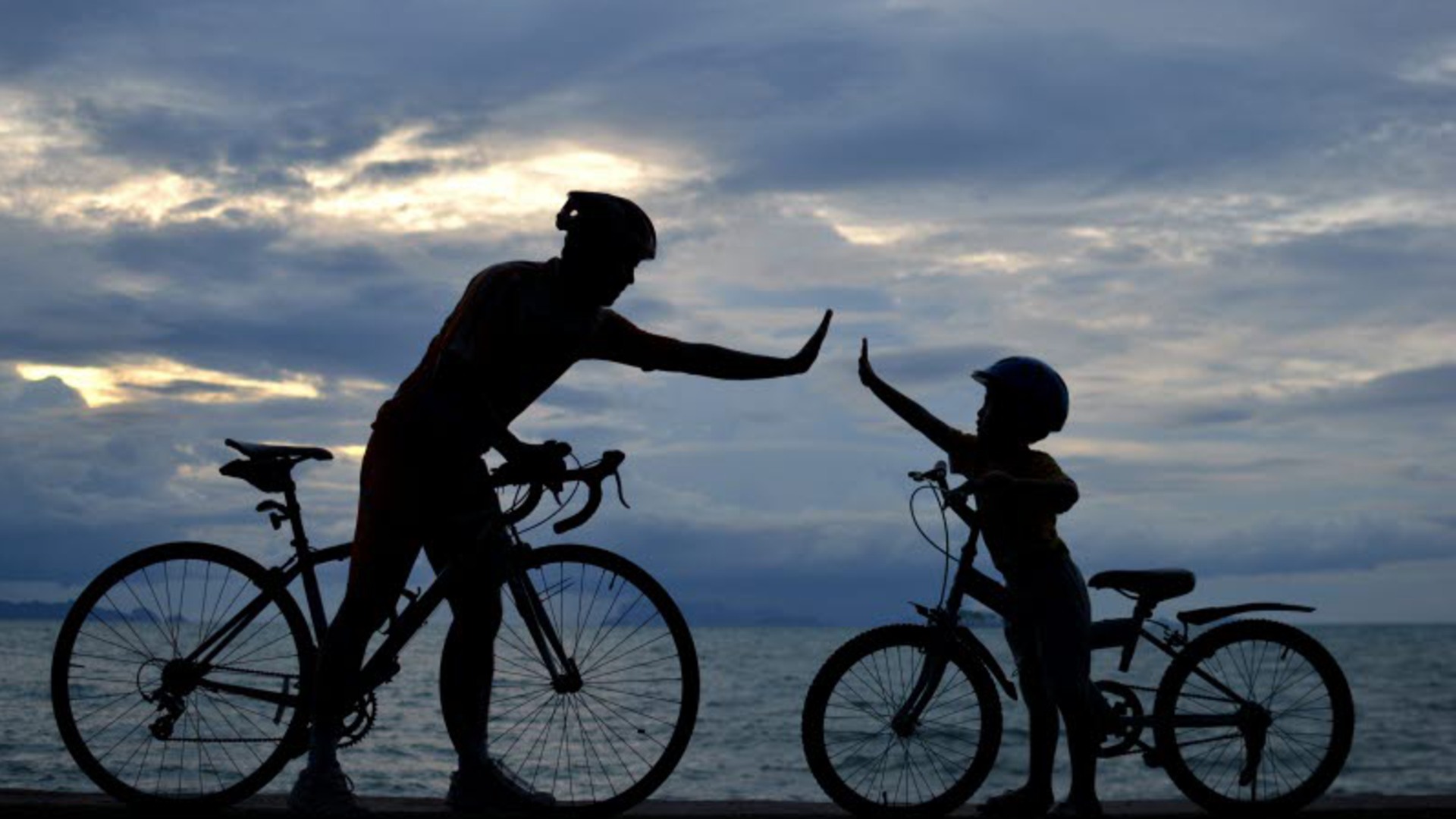 En vuxen och ett barn står med var sin cykel vid vattnet och gör high five.