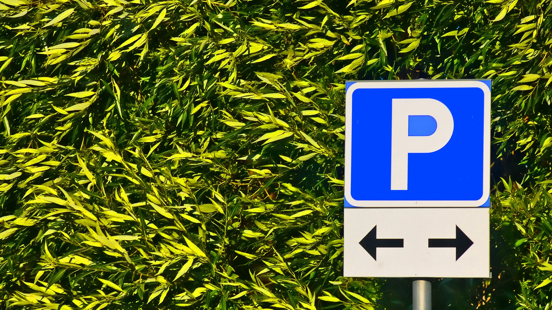 En parkeringsskylt med gröna buskar bakom.
