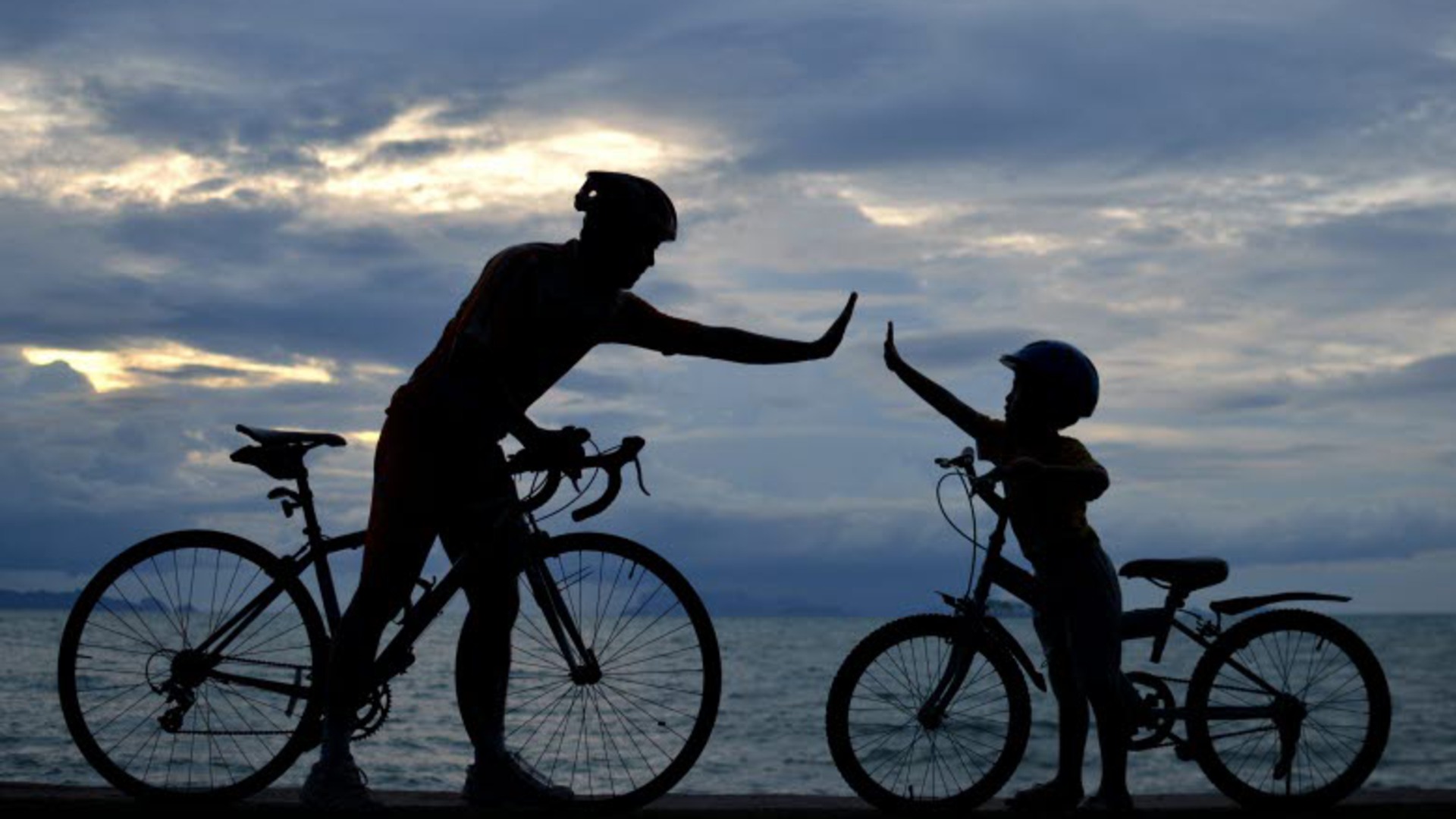 En vuxen och ett barn står med var sin cykel vid vattnet och gör high five.