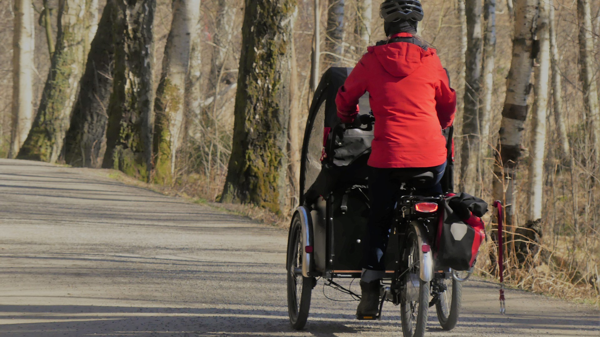 En person cyklar med cykelkärra i höstväder.