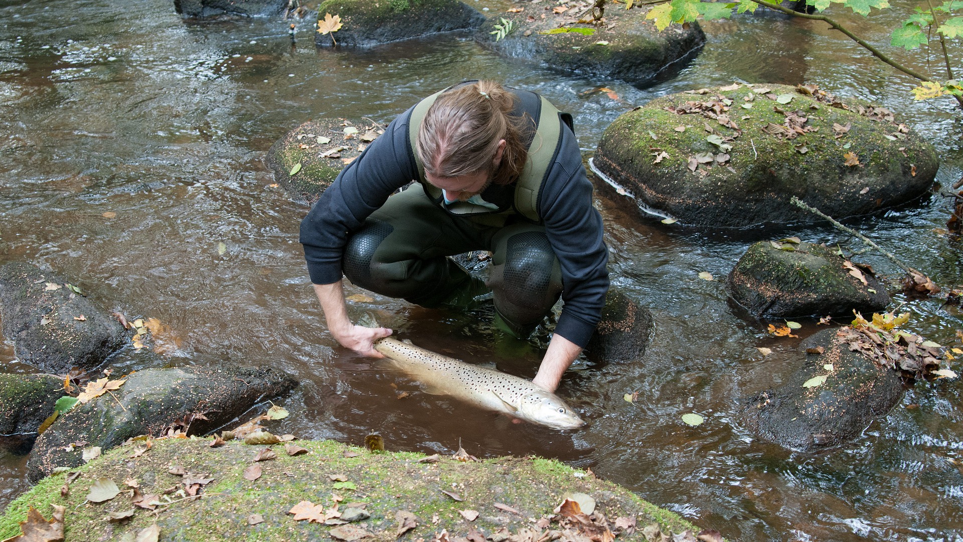 En person sitter i lågt vatten med en fisk i händerna.