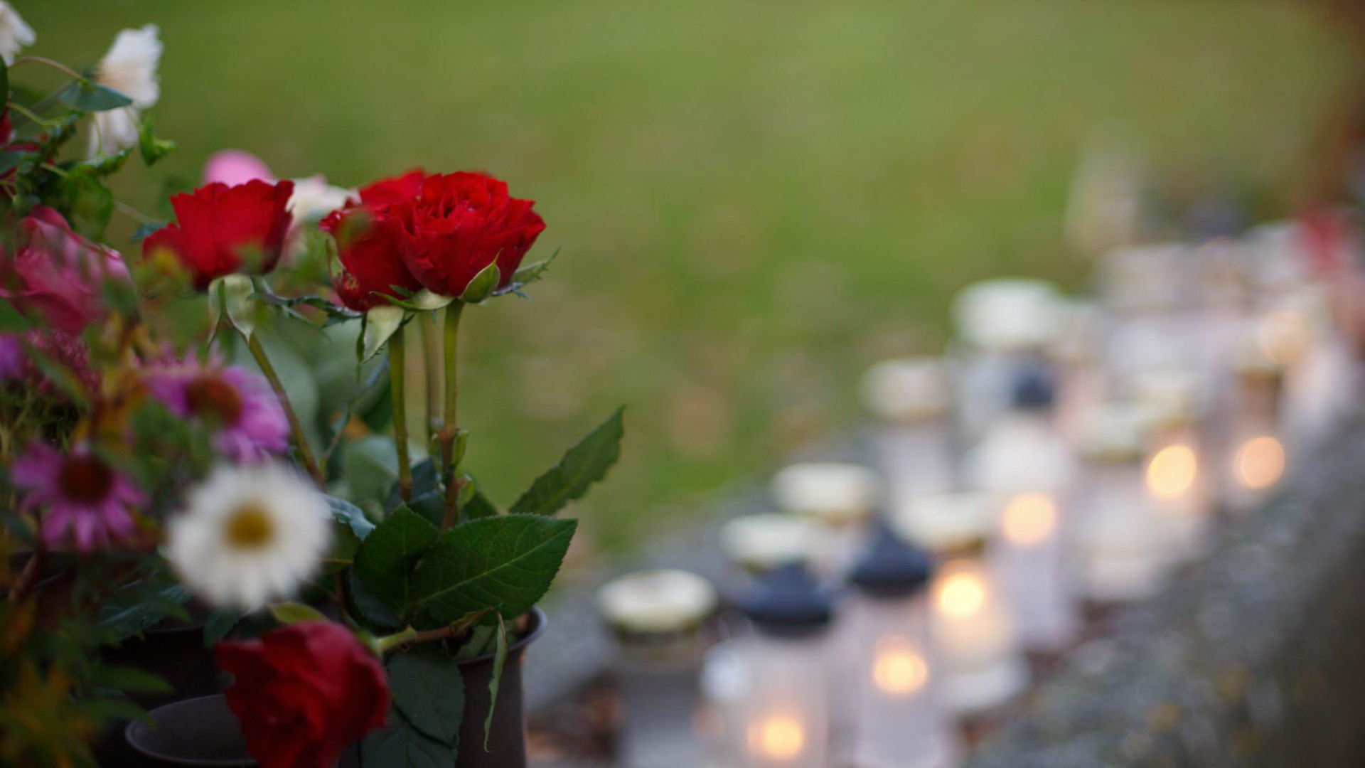 En gravplats med blommor och många tända gravljus.