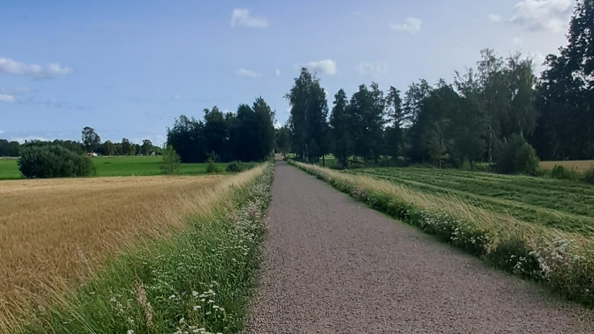 Grusbeläggning på den gamla banvallen, med natur på sidorna.