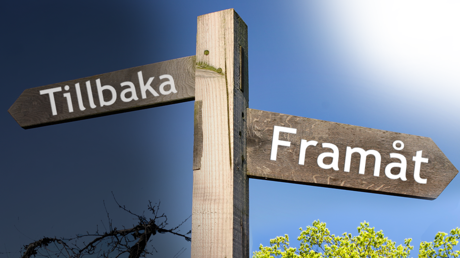Vägskylt med två pilar med texterna "tillbaka" åt ena hållet och "framåt" åt andra hållet.