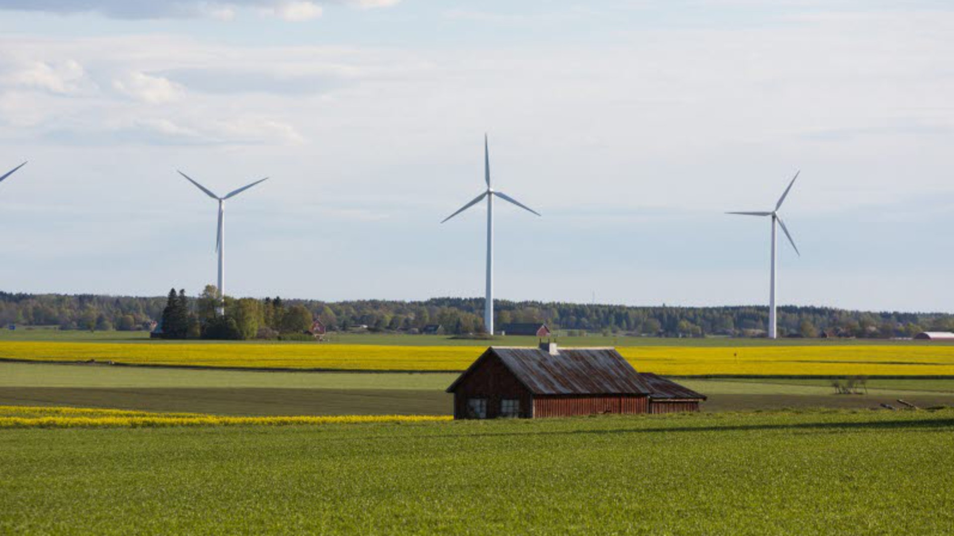 Åkermark med ett rött hus och fyra vindkraftverk längre bort.