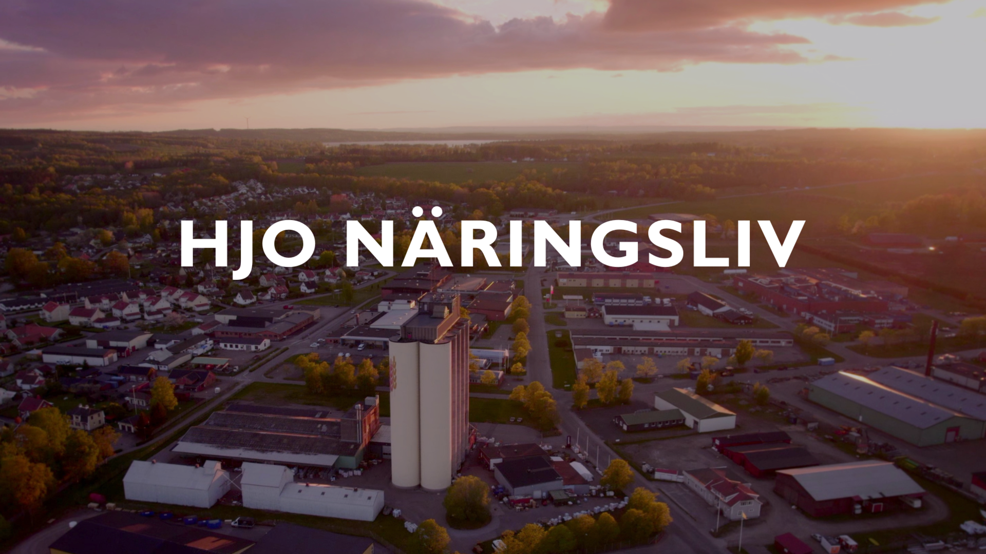 Flygbild över Hjo och texten "Hjo näringsliv"