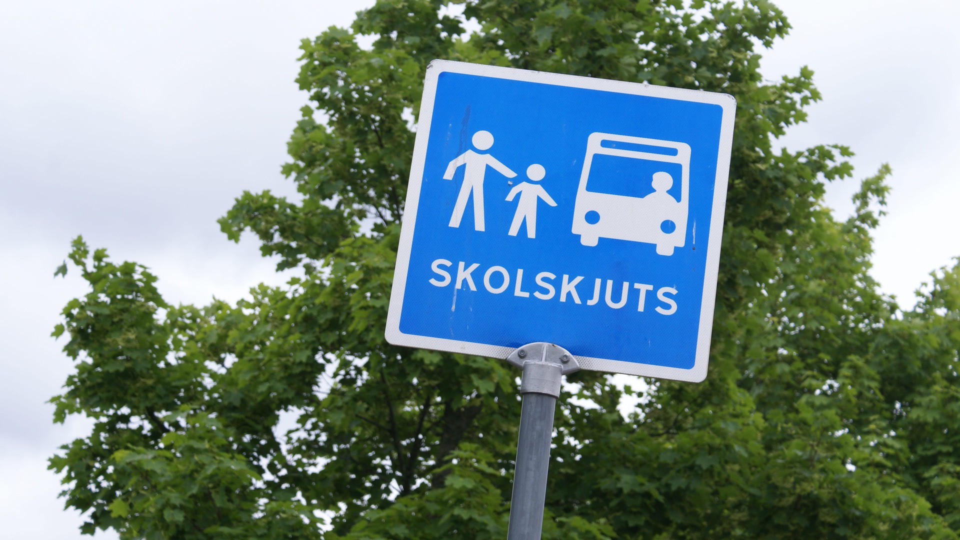 En vägskylt med texten "Skolskjuts".