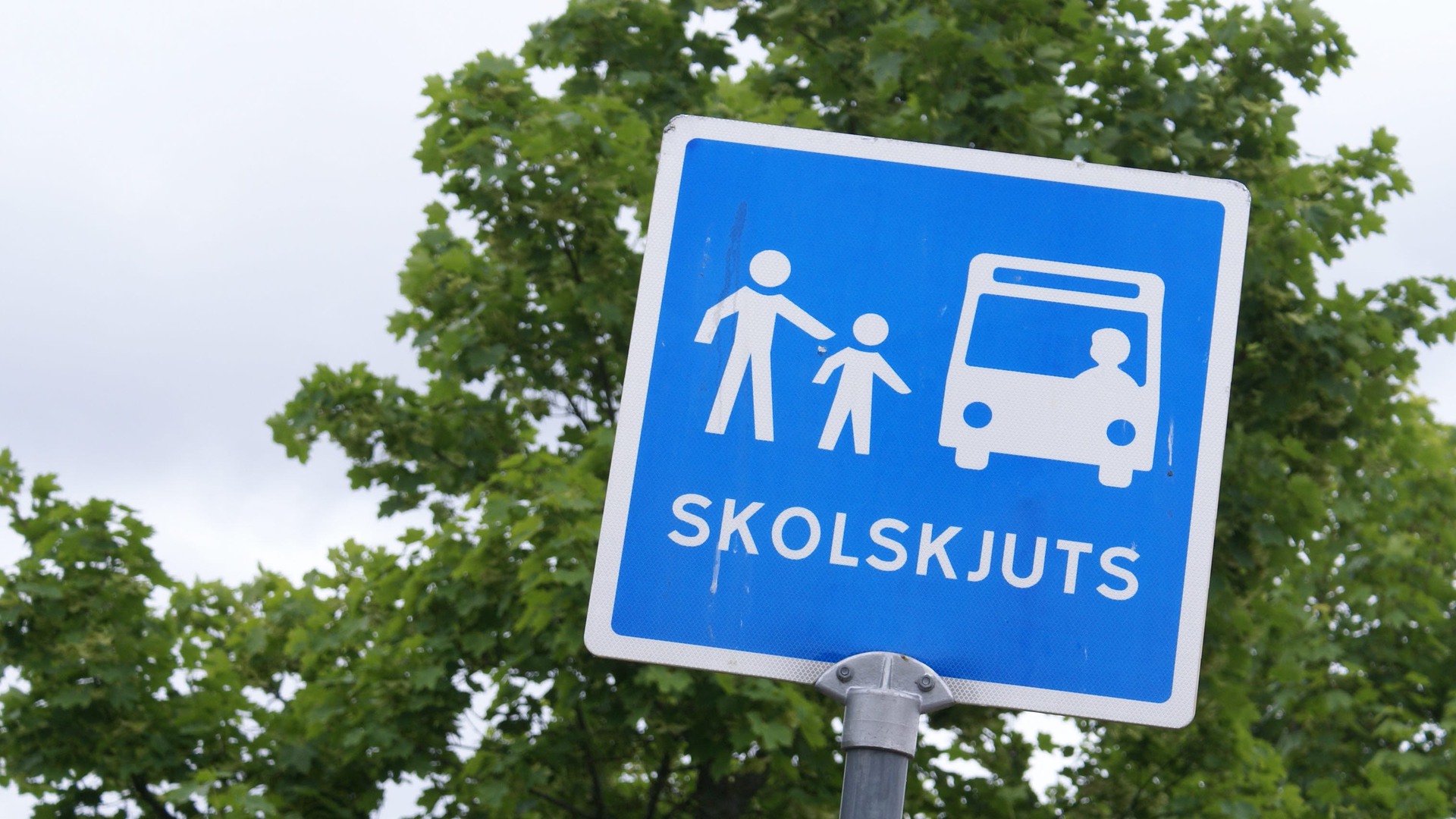 En vägskylt med texten "Skolskjuts".