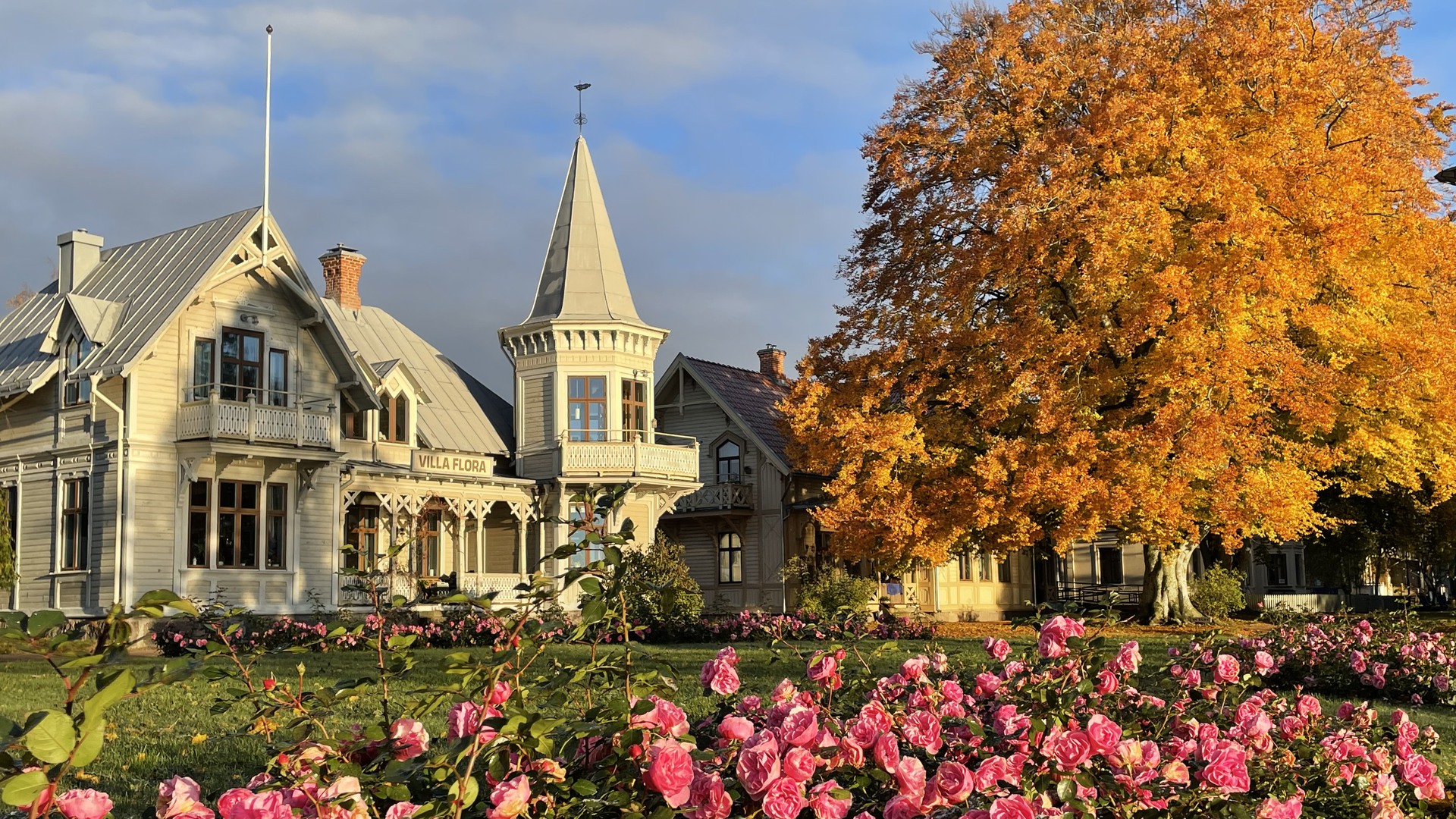 Villa Flora, träd med höstfärger och rosa rosor i stadsparken.