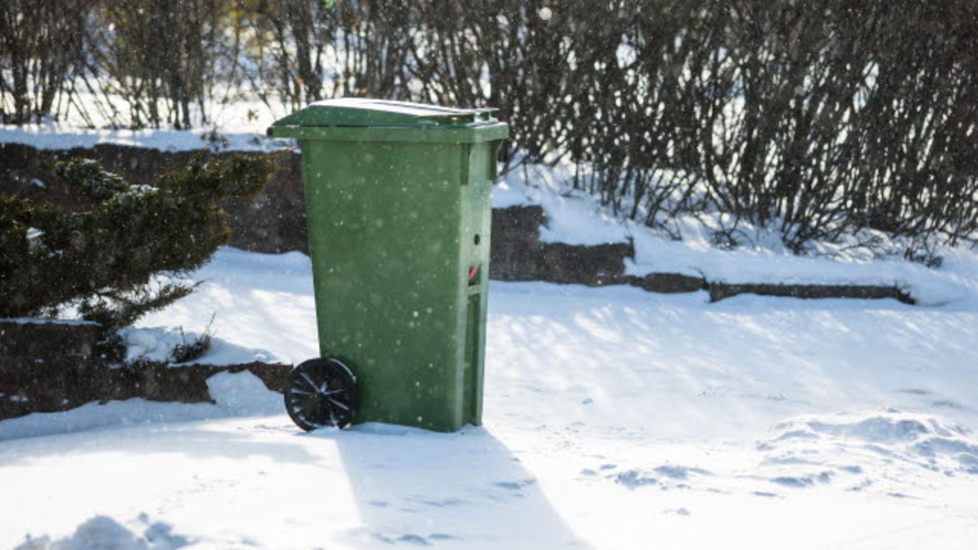 En grön soptunna på en trottoar på vintern.