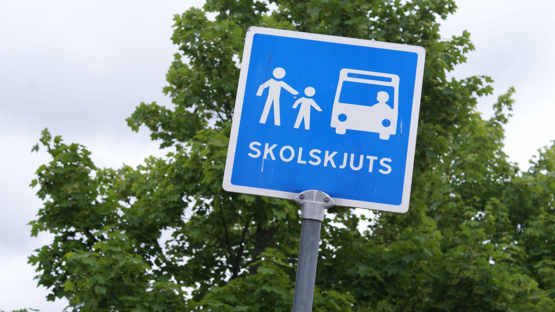 En vägskylt med texten "Skolskjuts".