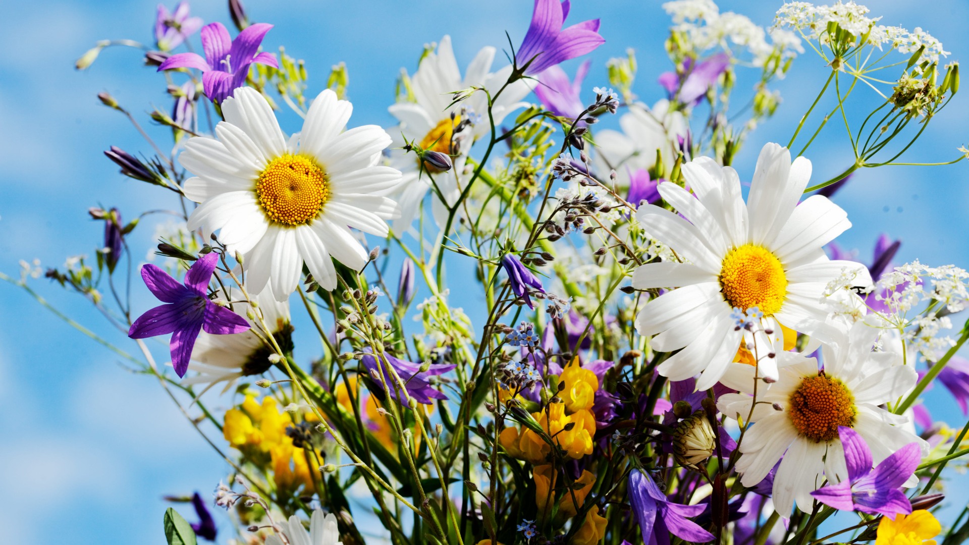 En midsommarbukett mot blå himmel.